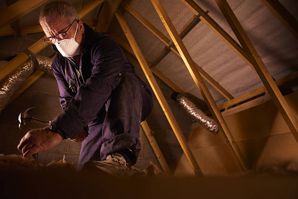 Best Insulation Removal  in Xtang, PA